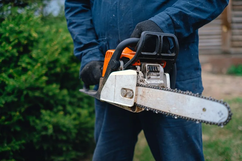 The Best Pressure Washer for Home Cleaning: 6 Top Picks